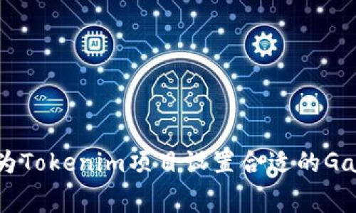 如何为Tokenim项目设置合适的Gas费用