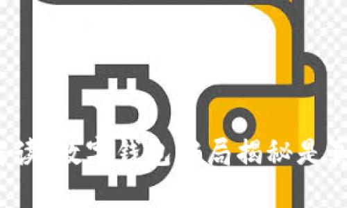 深入解读：数字钱包骗局揭秘是真是假？