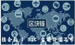   最新永续合约：1 BTC 当前